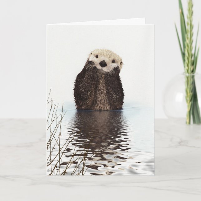 Just Another An Otter Day in Paradise Cute Card (Front)
