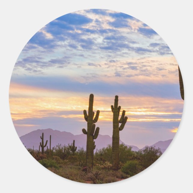 Just Another Colourful Sonoran Desert Sunrise Classic Round Sticker (Front)