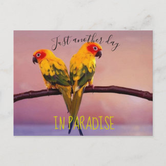 Just Another Day in PARADISE Postcard