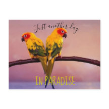 Just Another Day in PARADISE