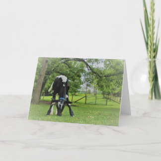 Just because card