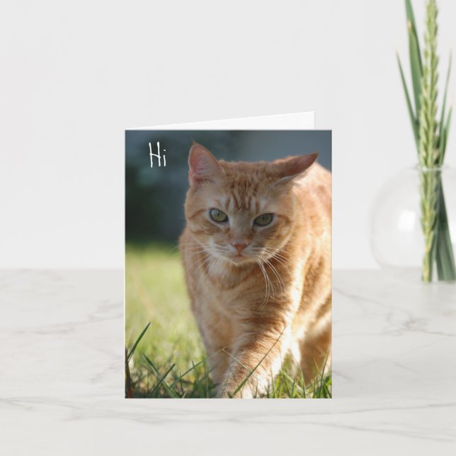 Just Because Card (Front)