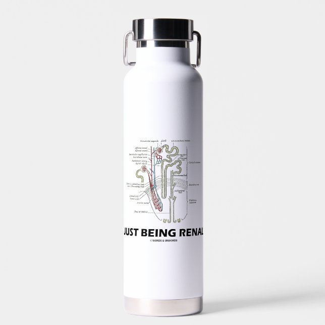 Just Being Renal Kidney Nephron Anatomy Humour Water Bottle (Front)