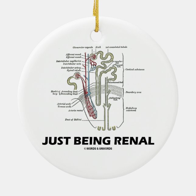 Just Being Renal (Kidney Nephron Renal Humour) Ceramic Ornament (Back)