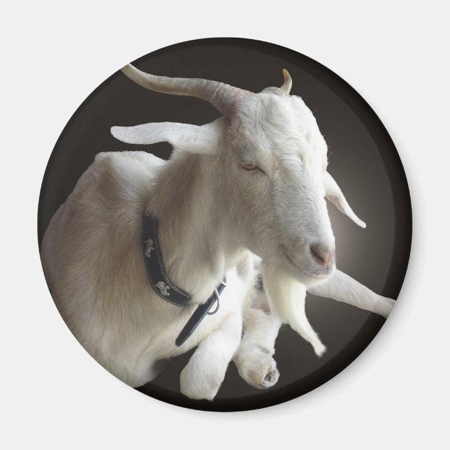 Just Billy Magnet (Front)