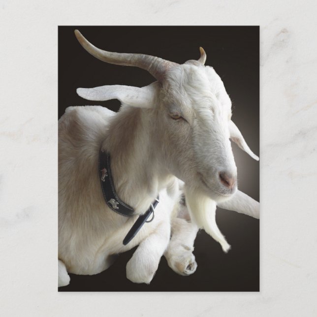 Just Billy Postcard (Front)