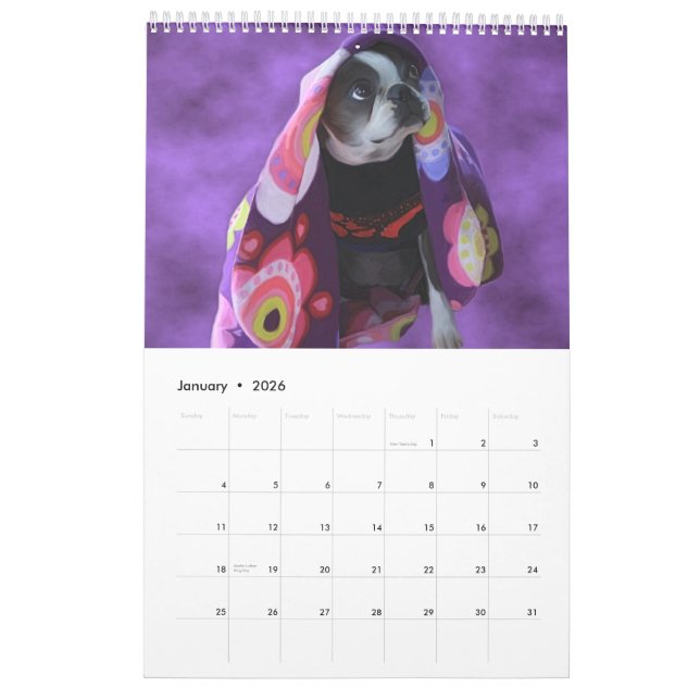 Just Bostons Calendar (Jan 2026)