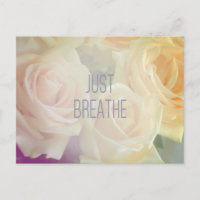 Just Breathe - Roses Postcard