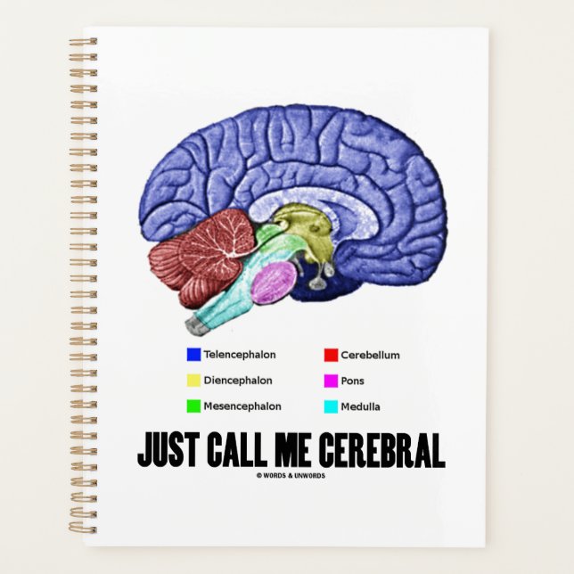 Just Call Me Cerebral Brain Anatomy Humor Planner (Front)