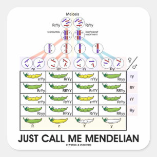 Just Call Me Mendelian (Punnett Square Genetics) Sticker