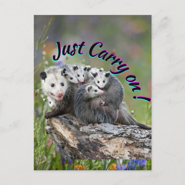 Just Carry On!   Postcard (Front)