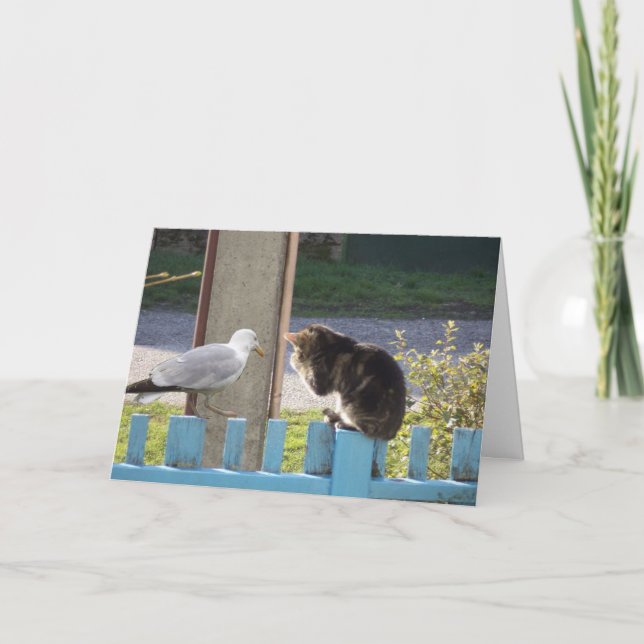 Just cats and kittens - blank card (Front)