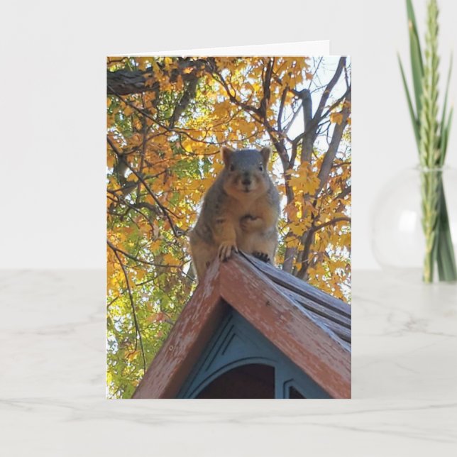 Just Checking in on You | Cute Squirrel Photo Card (Front)