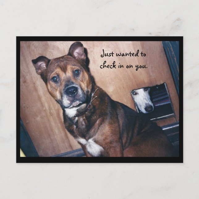 Just Checking in on You. Postcard (Front)