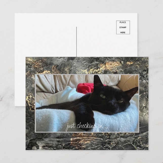 Just Checking In Postcard Black (Front/Back)