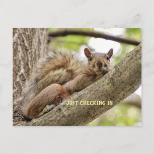 Just Checking In To See How You've Been Postcard