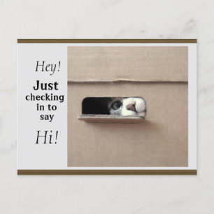 Just Checking Postcard