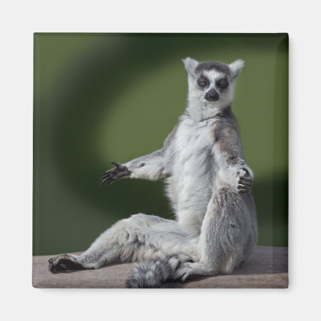 Just Chill Magnet (Front)