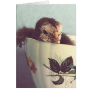 Just Chillin'