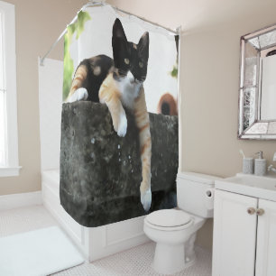 Just Chillin Tricolor Cat Pet Portait