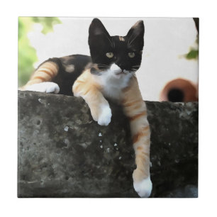 Just Chillin Tricolor Cat Pet Portait Tile
