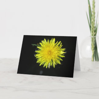 Just Dandy Card