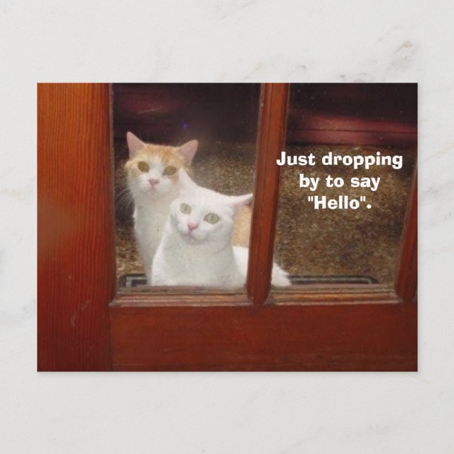 Just Dropping By Postcard (Front)