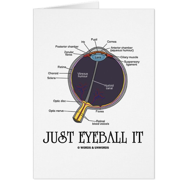 Just Eyeball It (Eye Anatomy Approximation Saying) (Front)