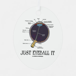 Just Eyeball It Human Eye Anatomy Geek Advice Metal Ornament