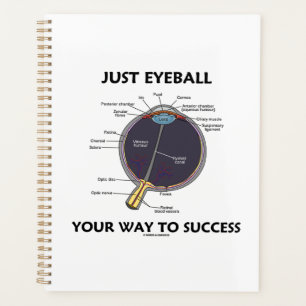 Just Eyeball Your Way To Success Eye Anatomy Humou Planner