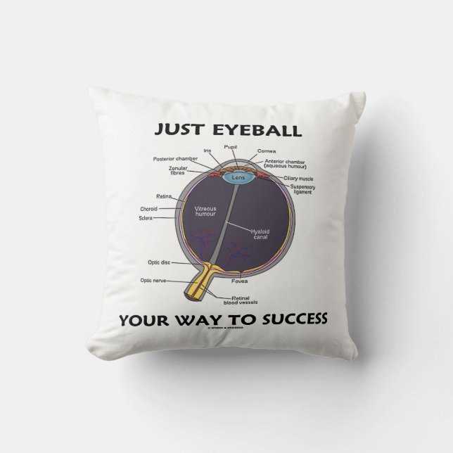 Just Eyeball Your Way To Success Eye Anatomy Humou Throw Pillow (Front)