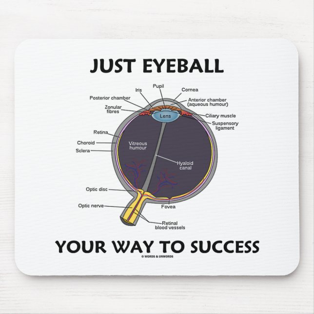 Just Eyeball Your Way To Success (Eye Anatomy) Mouse Pad (Front)