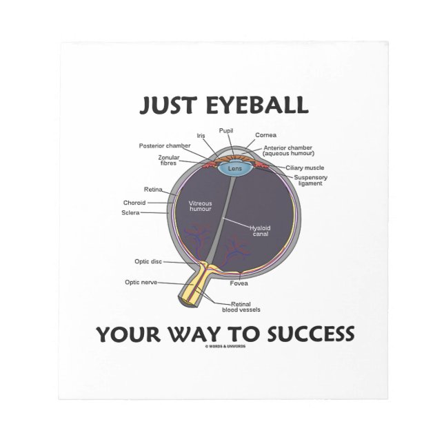Just Eyeball Your Way To Success (Eye Anatomy) Notepad (Front)