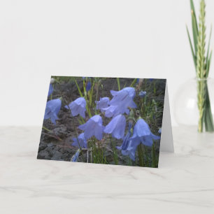 Just Feeling Blue Today Greeting Card