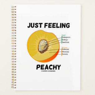 Just Feeling Peachy Peach Anatomy Fruit Geek Humou Planner