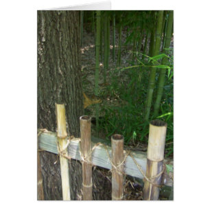 just for fun, sneaky squirrel gets caught