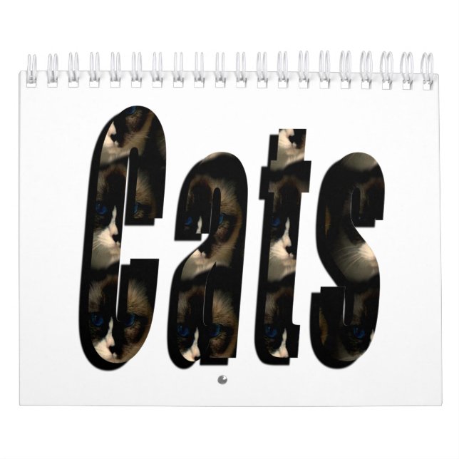 Just For The Love Of Cats, Calendar (Cover)