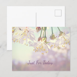 Just for today...  postcard