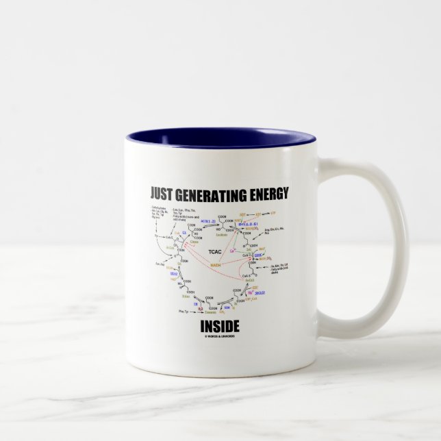 Just Generating Energy Inside (Krebs Cycle) Two-Tone Coffee Mug (Right)