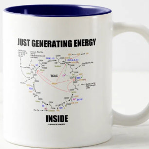 Just Generating Energy Inside (Krebs Cycle) Two-Tone Coffee Mug