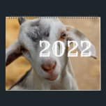 Just Goats 2022 Calendar<br><div class="desc">❤All designed with love by WitCraft Designs™! Personalize your way 👌 Find and follow us on social media (ⒻⓅⓉ) 📷 TAG #witcrafting and share your purchases on social media with us!! You can connect to all my social media accounts at www.witcrafting.com Visit my designer profile to see all my shops...</div>