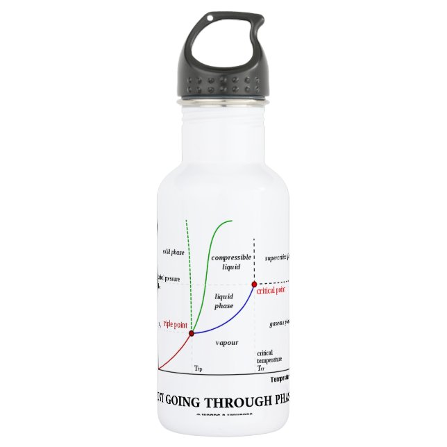 Just Going Through Phases (Water Chemistry) 532 Ml Water Bottle (Front)