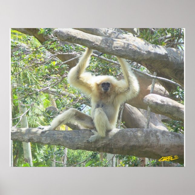 Just Hangin' Out Poster (Front)