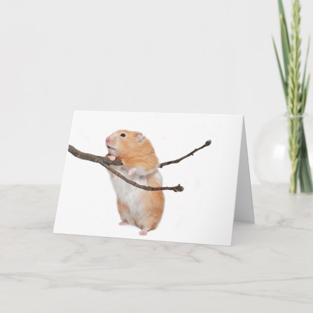 just hanging around card (Front)