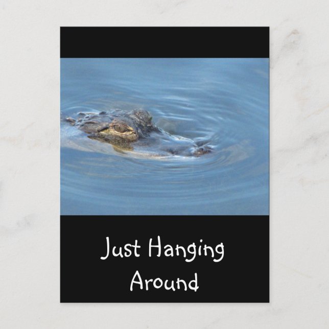 Just Hanging Around Postcard (Front)