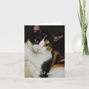 Just Hanging Around Thank You Card