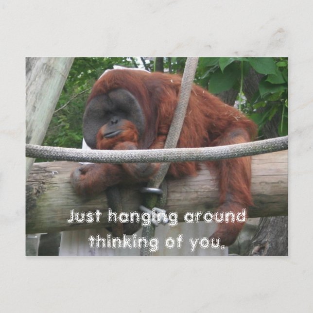 Just hanging around thinking of you. postcard (Front)