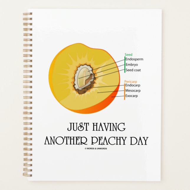 Just Having Another Peachy Day Peach Anatomy Planner (Front)