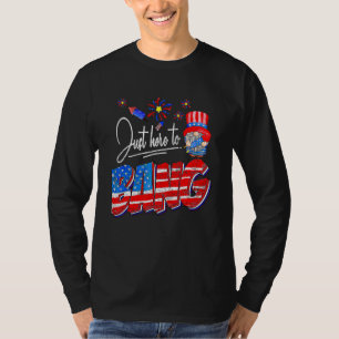 Just Here To Bang Gnome American Flag Fireworks 4t T-Shirt