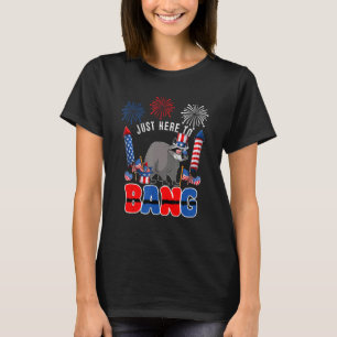 Just Here To Bang  Raccoon Sunglasses American Fla T-Shirt